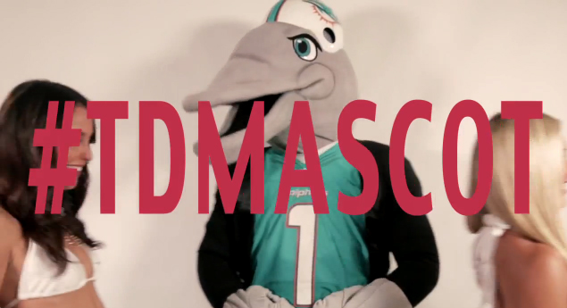 miami dolphins cheerleaders Robin Thicke Blurred Lines NFL sexy glamour hot #tdmascot