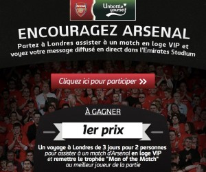 Carlsberg diffusera des messages des fans d’Arsenal à l’Emirates Stadium