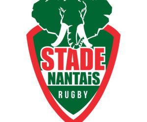 Offre Emploi : Attaché(e) commercial(e) – Stade Nantais Rugby