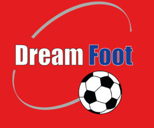 Offre Emploi : Agent accueil et commercial – Dream Foot