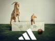 adidas VS Nike, le match de la communication après les victoires de l’Espagne (Euro 2024) et de l’Argentine (Copa America 2024)